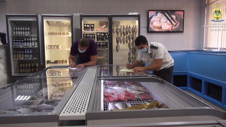 В Краснодаре нашли и изъяли почти 800 килограммов незаконных морепродуктов