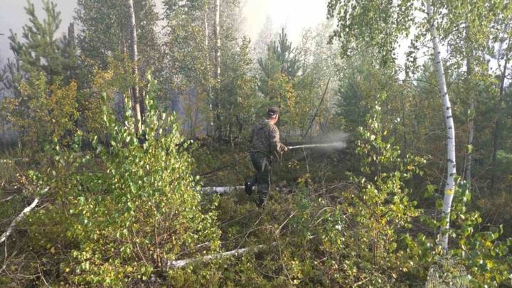 В Южском районе потушили лесной пожар на площади 2,7 гектара