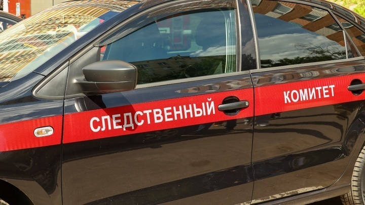 СМИ: в Нижнем Новгороде задержали этнических хулиганов, терроризировавших местных жителей