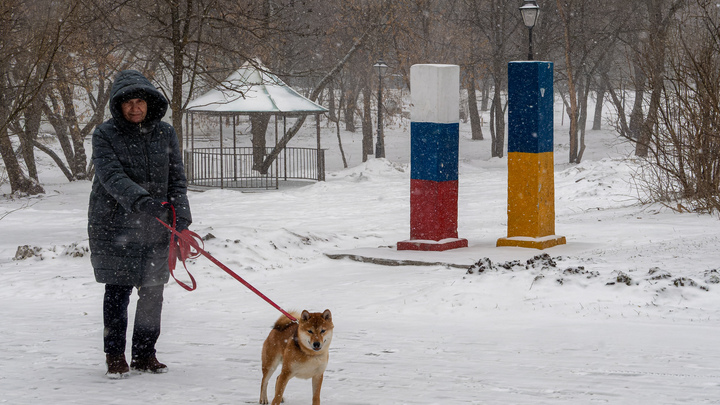 В Кольчугинском районе хозяин собаки выплатит денежную компенсацию за покусанного ребенка