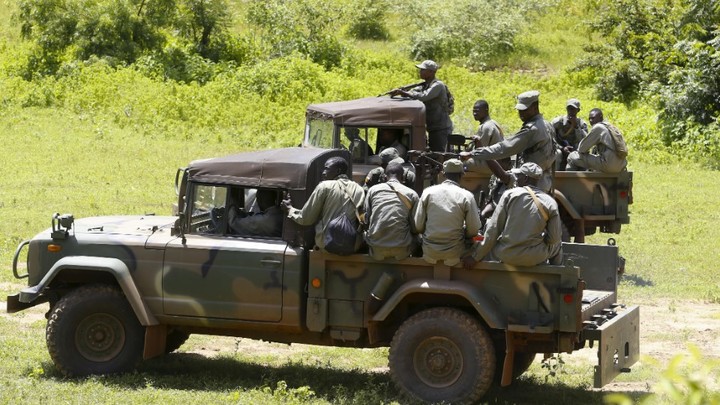 Русская победа в Африке: Кидаль освобождён практически без боя