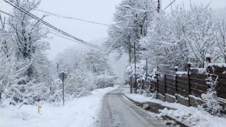 Контрабанда под крыльями ВАЗа. На сочинской таможне обнаружили 200 пачек нелегальных сигарет