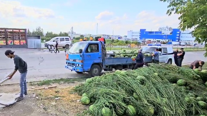 У нелегальных торговцев-мигрантов в Новосибирске изъяли 20 тонн арбузов и дынь