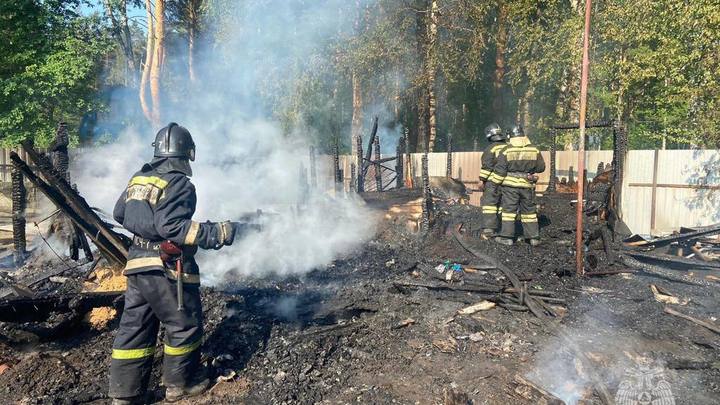 В Новосибирске 11-летний мальчик погиб при пожаре в дачном доме