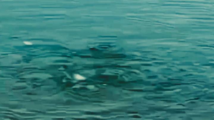 Извержение подводного вулкана: Азовское море закипело и покрылось пузырями