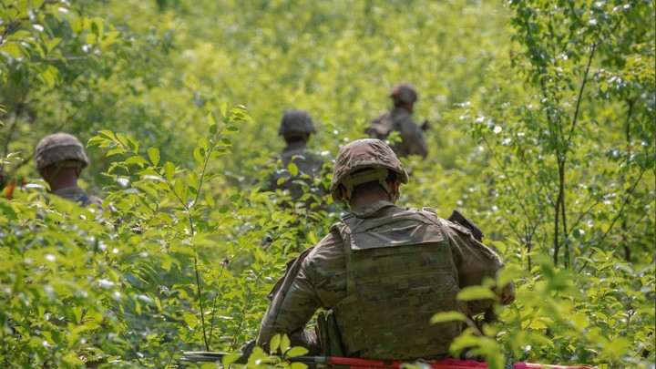 Низкий боевой дух и большие потери ВСУ: Зеленский в ярости - Макгрегор