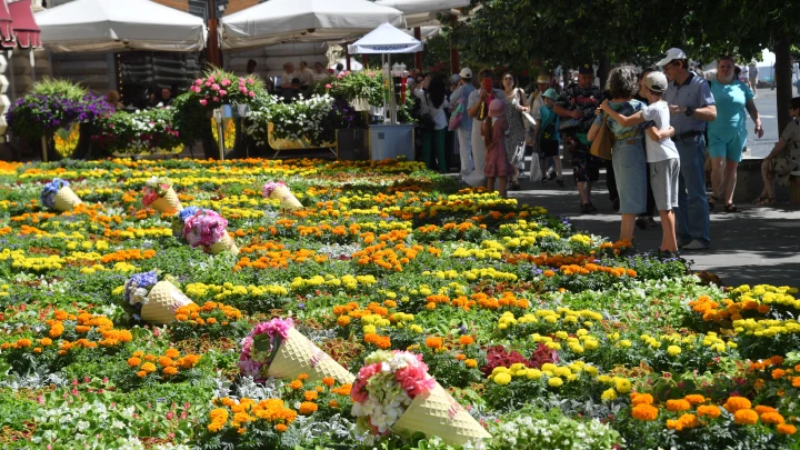 Фестиваль Сады и цветы преобразит улицы, бульвары и набережные Москвы