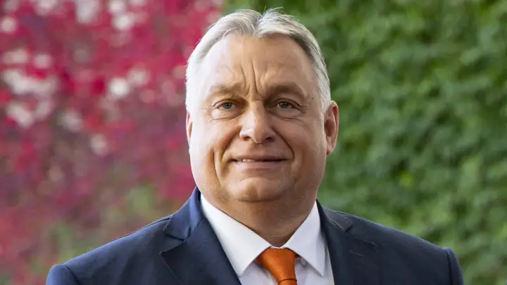 Думаете, они нас любят?: Вскрылось коварство Венгрии в отношении России. Орбан оказался хитрее всех