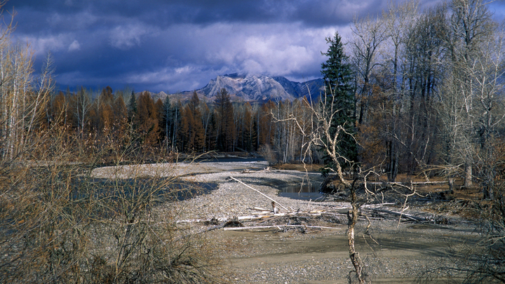 Школьникам открыли красоту России. Необычный конкурс завершился в Москве
