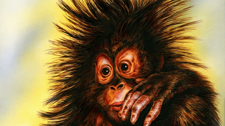 Что известно об обезьяньей оспе, которая так быстро распространяется по миру