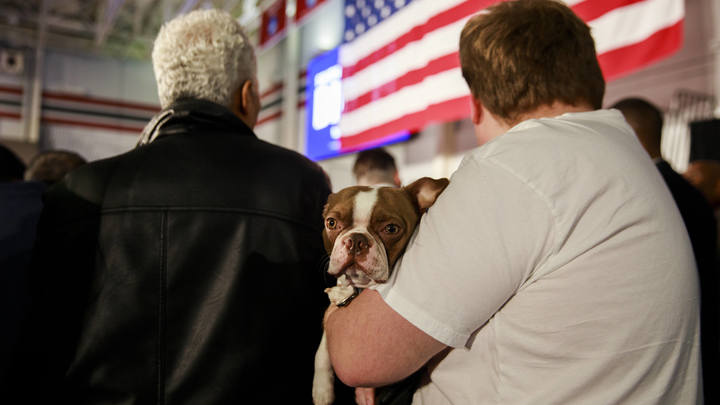 Собака Байдена извинилась перед хозяином - американцы взревели от умиления