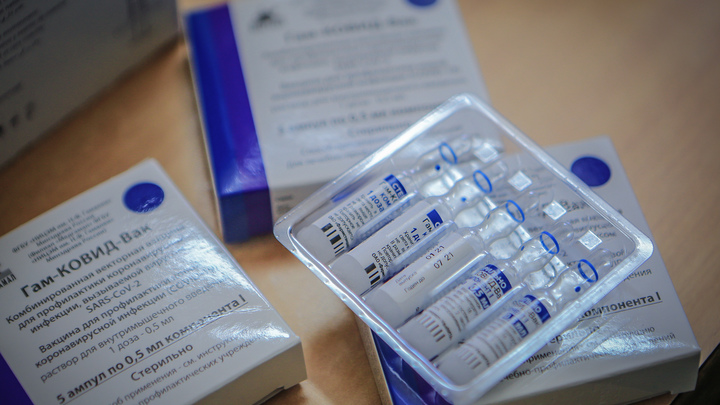 Спутник V ослабит напряжение: В Германии нашли три причины поддержать политический успех Кремля