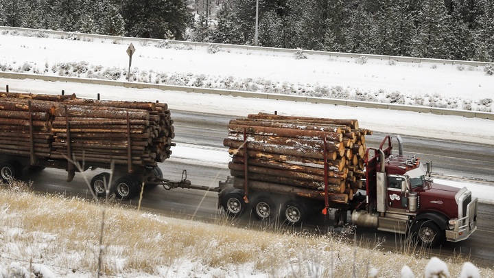 Единственный мост рухнул в реку: Авария с лесовозом попала в кадр