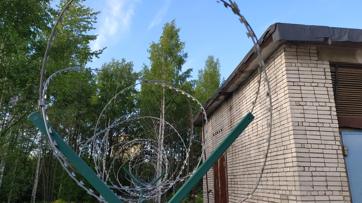 Новый конфликт на границе России: Версия англицкий лазутчик в кабаньей шкуре не прошла