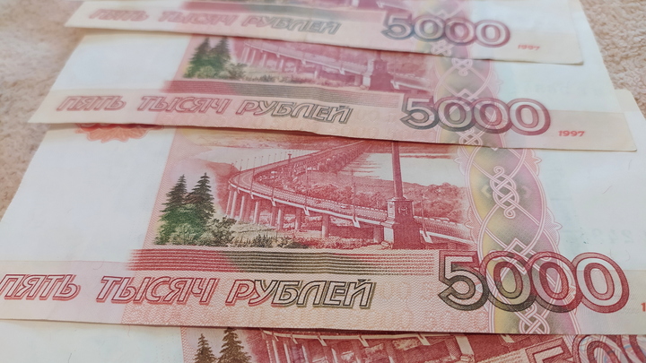 Депутаты Законодательного собрания Новосибирской области отчитались о доходах за 2022 год