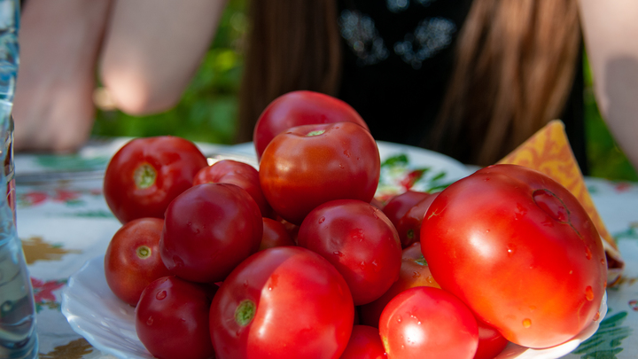 Лунный посевной календарь на 14 сентября 2023: что сажать сегодня, советы садоводам и огородникам