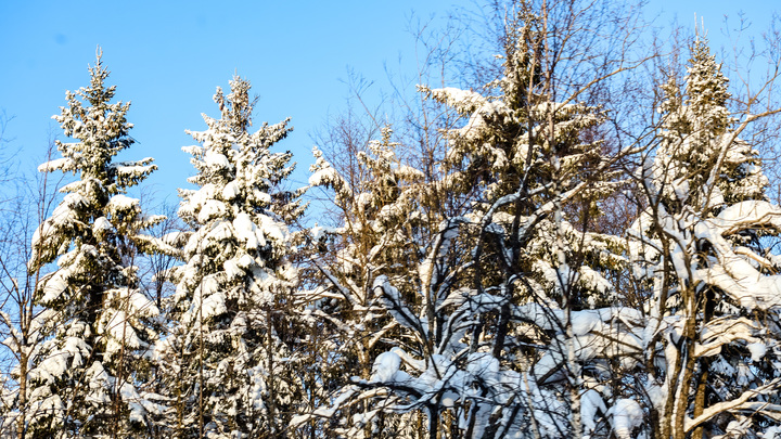 «Спать до обеда и не выходить на улицу»: что можно и нельзя делать 29 февраля