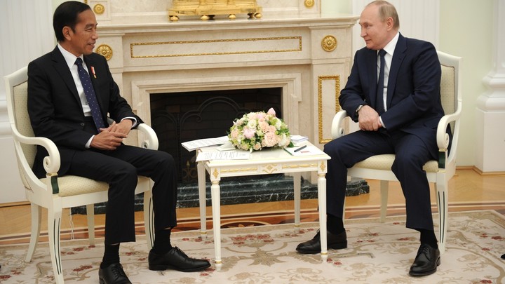 Путин не собирается ехать на G20 — президент Индонезии Видодо