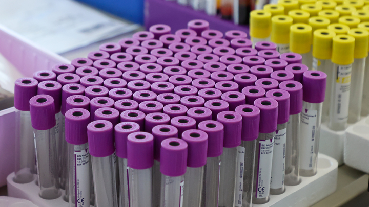 В Москве будет реализован уникальный проект по поддержке рождаемости