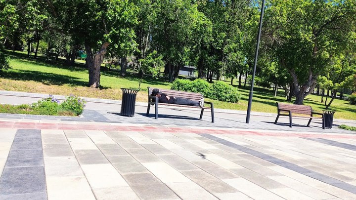 В Новосибирске в понедельник потеплеет до +23...+25 градусов