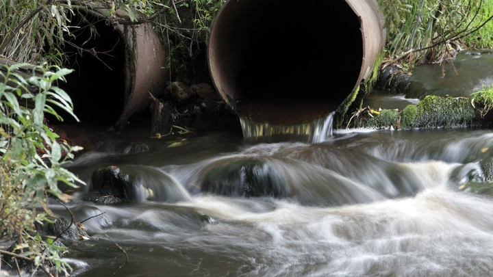 В Краснодаре по факту слива нечистот с завода могут возбудить уголовное дело