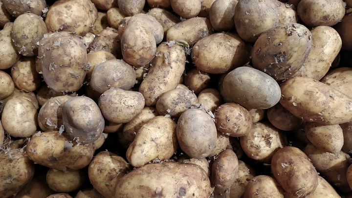 Эксперты развеяли миф о смертельно опасном картофеле: Но есть его всё равно нельзя