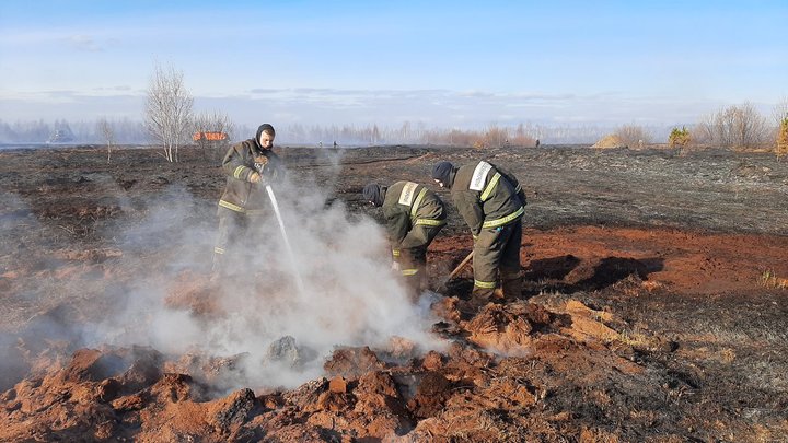 Прокуратура назвала виновных в осеннем пожаре на торфянике под Екатеринбургом