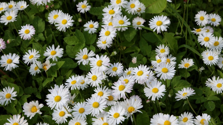 Православные верующие отмечают третье обретение главы Иоанна Крестителя 7 июня 2025 года