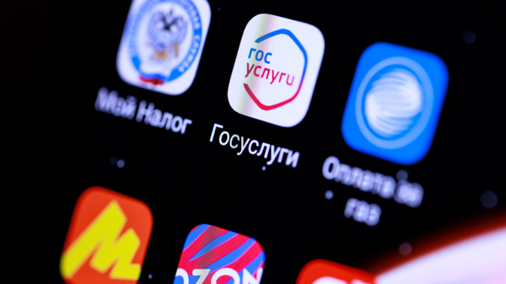 По данным Минцифры завладеть чужой квартирой через портал госуслуг нельзя