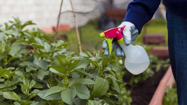 Лунный календарь садовода и огородника: как провести 25 июля на своём участке