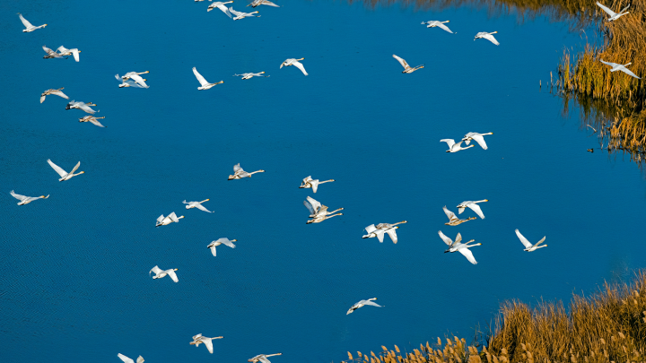 Таинственное исчезновение русского учёного: Поисковая операция развернулась на острове Укатный