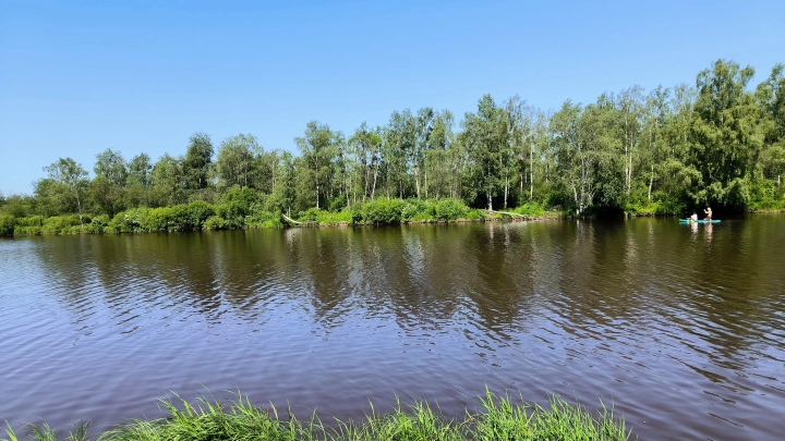 Эксперт раскрыла главные причины внезапных утоплений