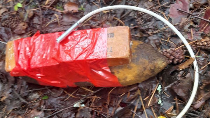 Во Владимирской области в лесу найден неразорвавшийся артиллерийский снаряд