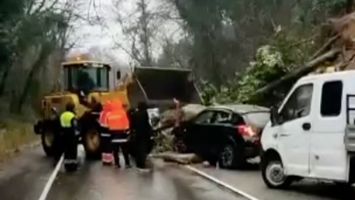 В Сочи рядом с посёлком Головинка на трассу сошёл оползень. На участке введён реверс