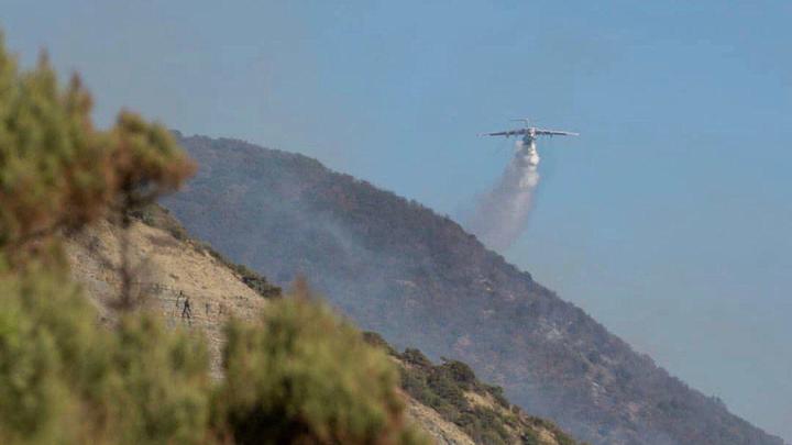 В Анапе потушили лес заповедника Утриш
