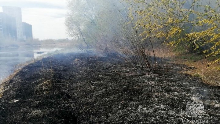 В Челябинске жители Северо-Запада задыхаются от дыма пожара