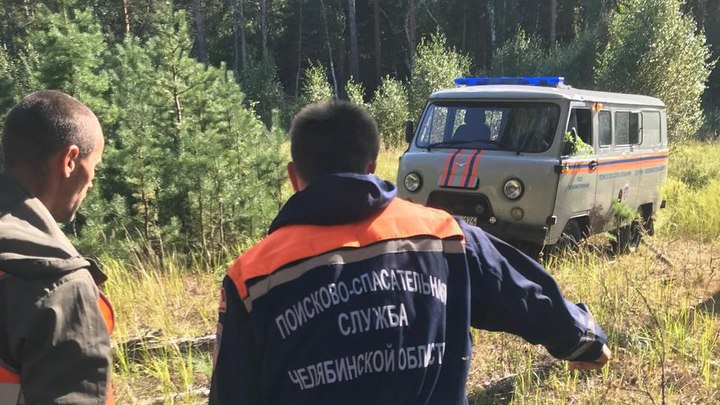 Тихая охота завела 74-летнюю пенсионерку в чащу леса в Челябинской области