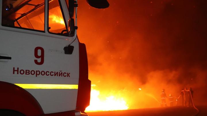 12 часов борьбы с огнем: Горящие плавни под Анапой потушены