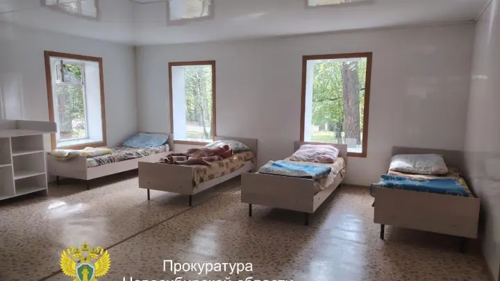 Бастрыкин поручил возбудить дело по информации об отравлении детей в новосибирском лагере
