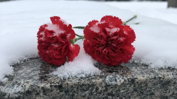 Жителям России предлагают вспомнить жертв резни в Душанбе 1990 года