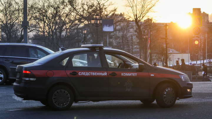Глава СКР Бастрыкин поручил возбудить дело после нападения мигрантов на девушек в Новосибирске