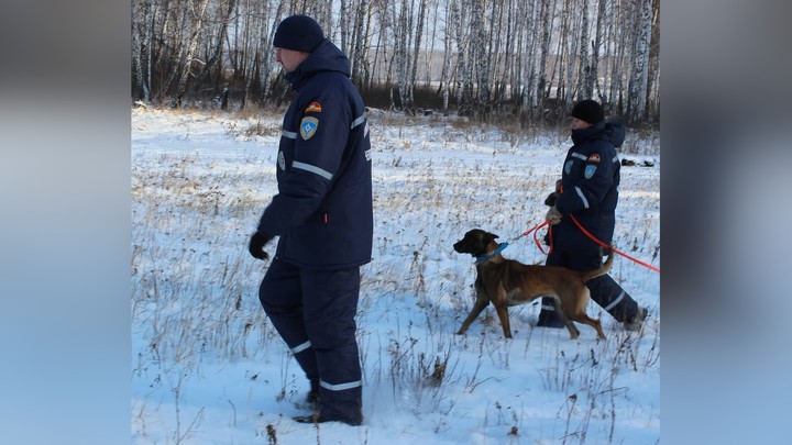 В Челябинской области спасатели нашли замерзающую семью с двумя детьми