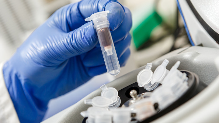 Украина готовит провокацию с биооружием: Сценарий написан Британией. Жертвы известны