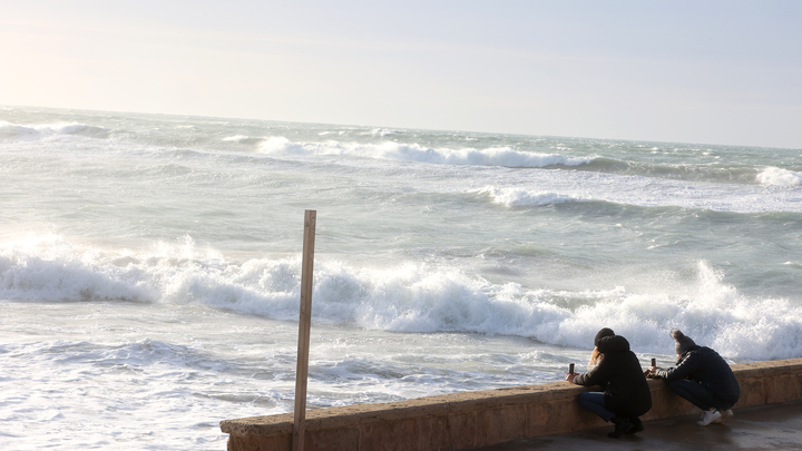 Власти Новороссийска призвали жителей не выходить на улицу из-за сильного ветра