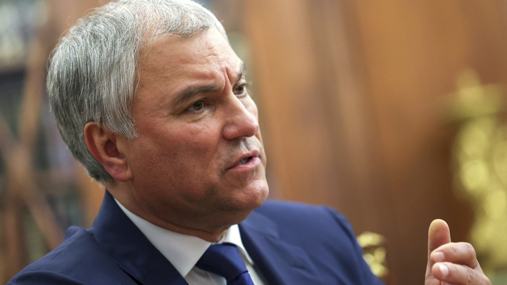 Спикер Госдумы Володин обвинил Зеленского в преступном захвате власти