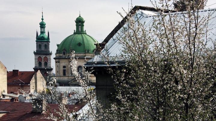 Польша, лови! Отдельную ветвь спецоперации России предсказал эксперт