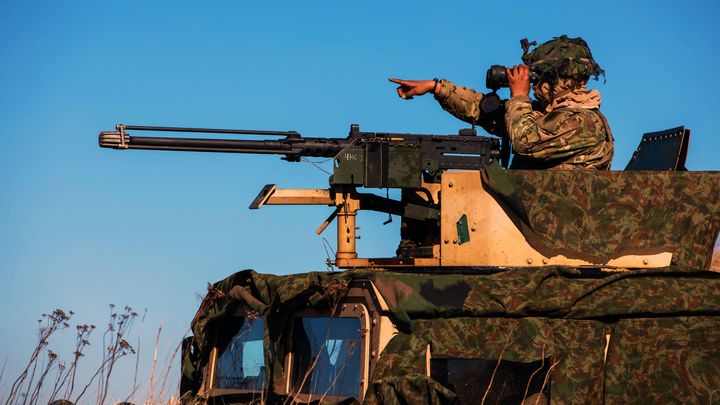 Решить проблемы за счёт Украины. Политолог - о разгадке антирусского выступления чешского генерала