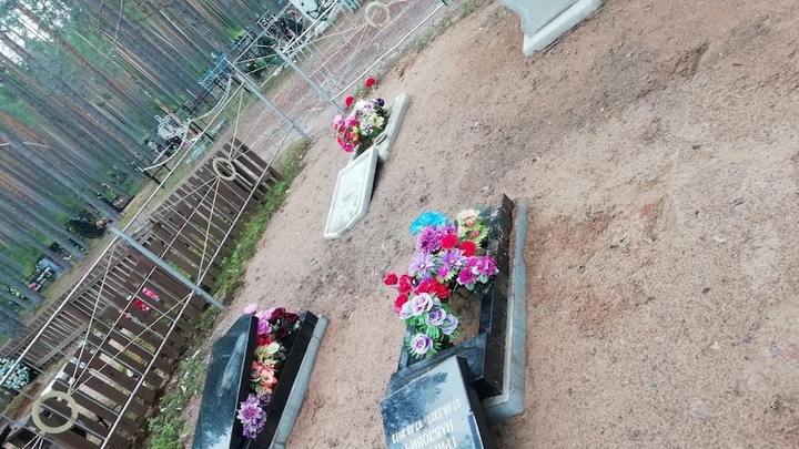 В Поморье трое нетрезвых подростков разгромили кладбище