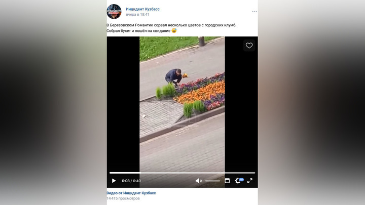 Оборвавший цветы на клумбе мужчина умилил и разозлил кузбассовцев