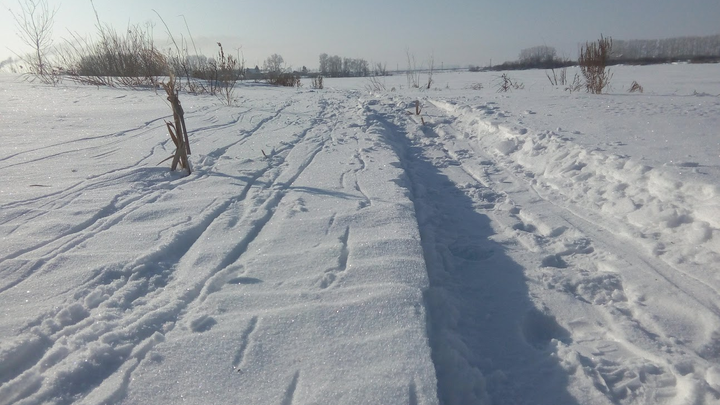 В Бурятии 4-летняя девочка ушла из дома и замёрзла насмерть